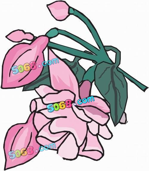 С