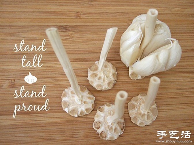 創意DIY:原來大蒜也能玩得這么有趣! - www.888bfw.com