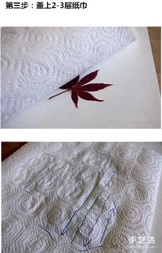 ~ӡô Ƙ~ӡEDƬ -  www.888bfw.com