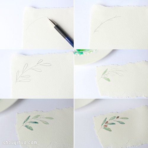 +ˮʮ (chung)ֹDIYϯƘ(bio) -  www.888bfw.com