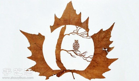 ںЇ񻨹ˇĘ~ -  www.888bfw.com
