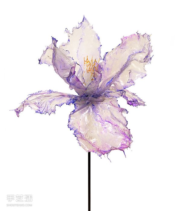 ֬ƷR˲gY -  www.888bfw.com