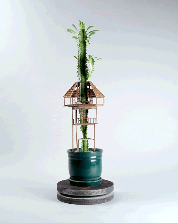 DIYģ Сˇ΢ͽ -  www.888bfw.com