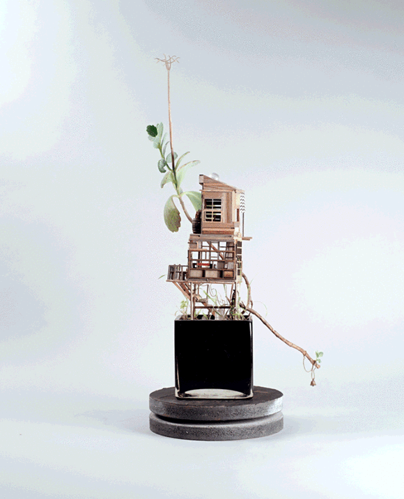 DIYģ Сˇ΢ͽ -  www.888bfw.com
