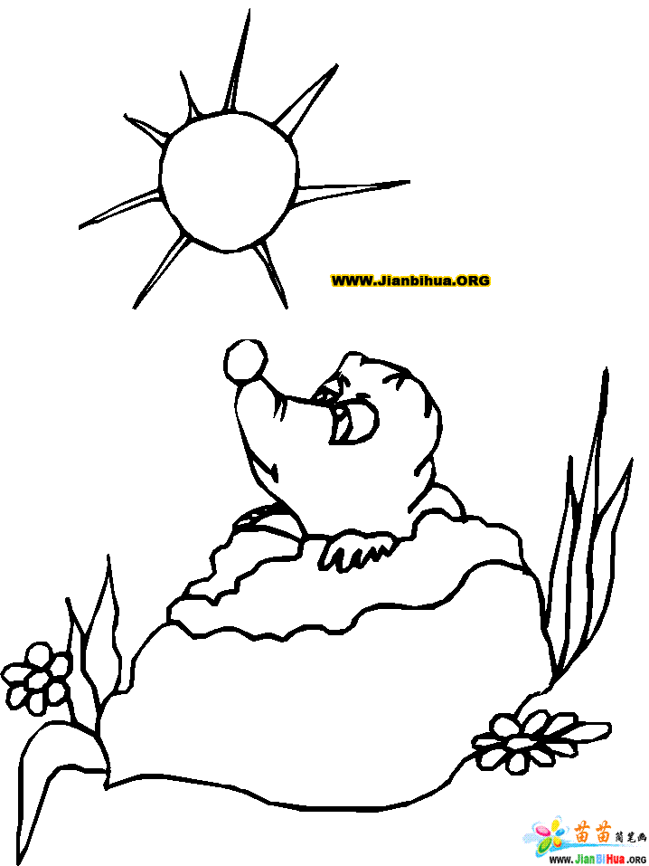 ﺆP