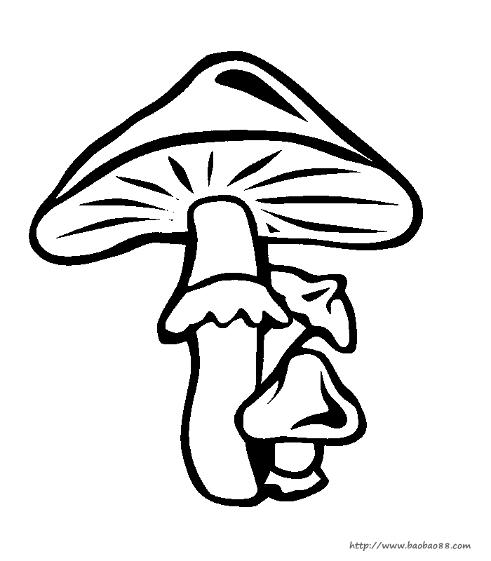 Ģ