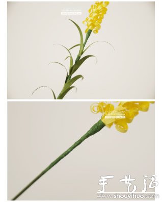 ɫƯļˇ̳ -  www.888bfw.com