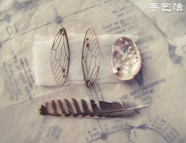 DIYÓ؁ďU׃U錚 -  www.888bfw.com
