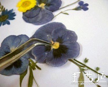 ѺֹDIY -  www.888bfw.com