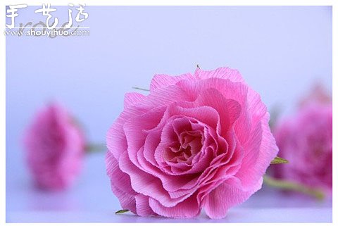 ۼֹ̳ -  www.888bfw.com