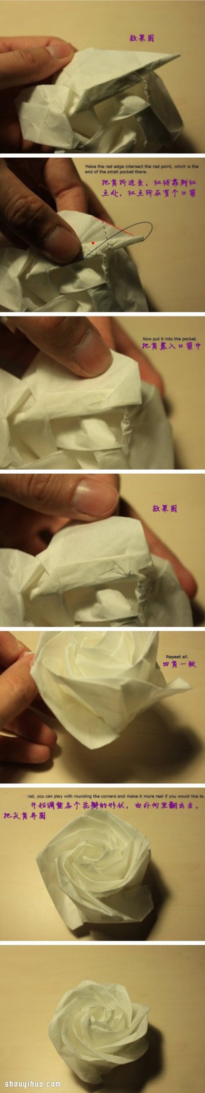 ְֽһƯֹõ廨D̳ -  www.888bfw.com