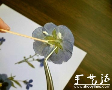 ѺֹDIY -  www.888bfw.com
