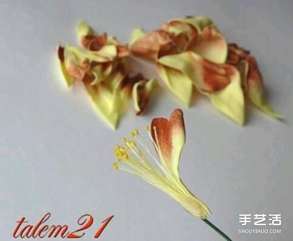 úd dԔ(x)E -  www.888bfw.com