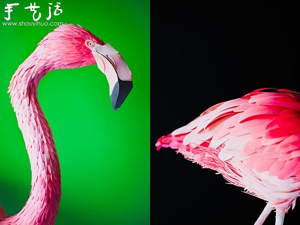 BˇƷ -  www.888bfw.com