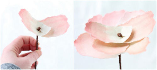 ֹ̳ -  www.888bfw.com