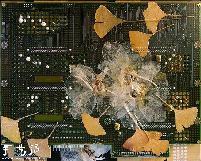 DIYhˇg -  www.888bfw.com