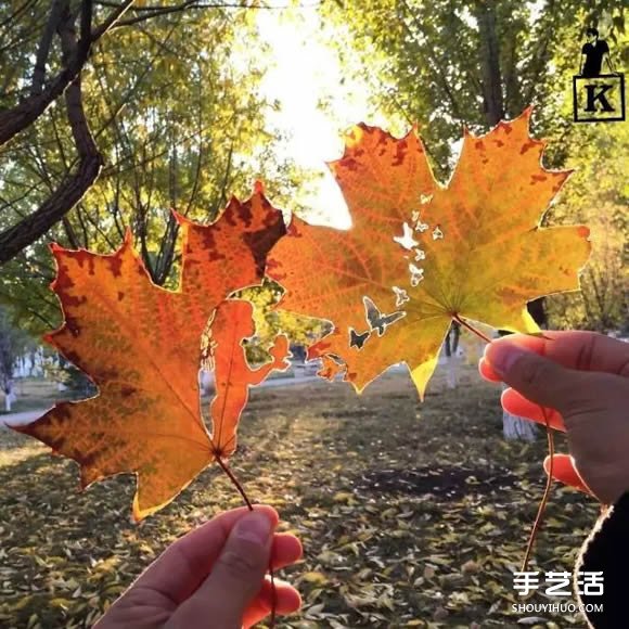~иƷDƬ ֹ~ЮDƬp -  www.888bfw.com