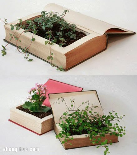 UfֹDIYС(chung) -  www.888bfw.com