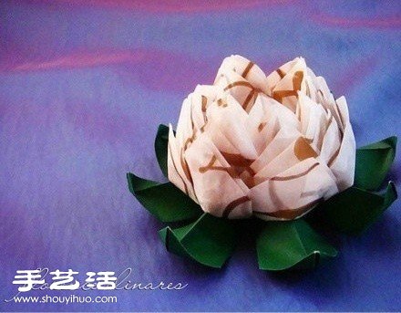 տֹwۼƷp -  www.888bfw.com