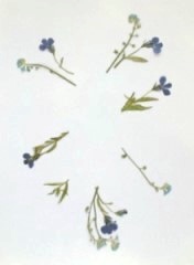 ѺֹDIY -  www.888bfw.com
