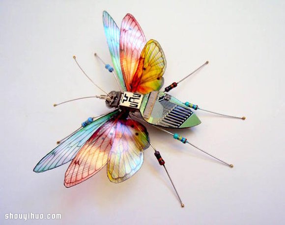 U·ֹx -  www.888bfw.com