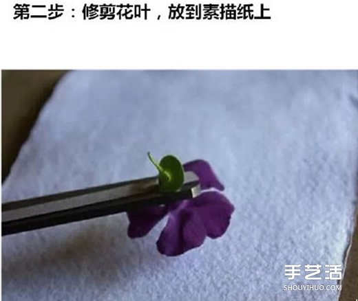 ~ӡô Ƙ~ӡEDƬ -  www.888bfw.com