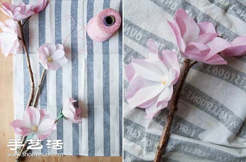 ֹƯľmķD̳ -  www.888bfw.com