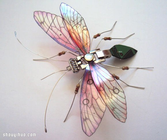 U·ֹx -  www.888bfw.com