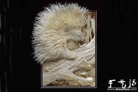 DIY3D -  www.888bfw.com