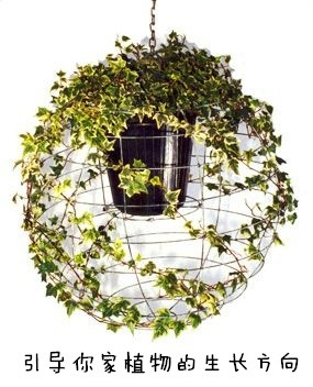UÄ(chung)⻨DIY -  www.888bfw.com