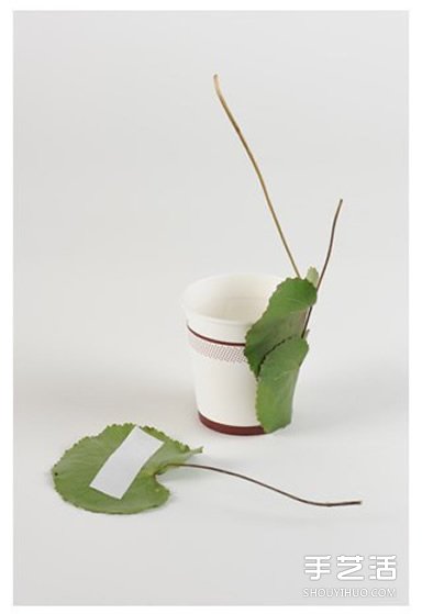 һԼDIYƯĲ廨b辰 -  www.888bfw.com