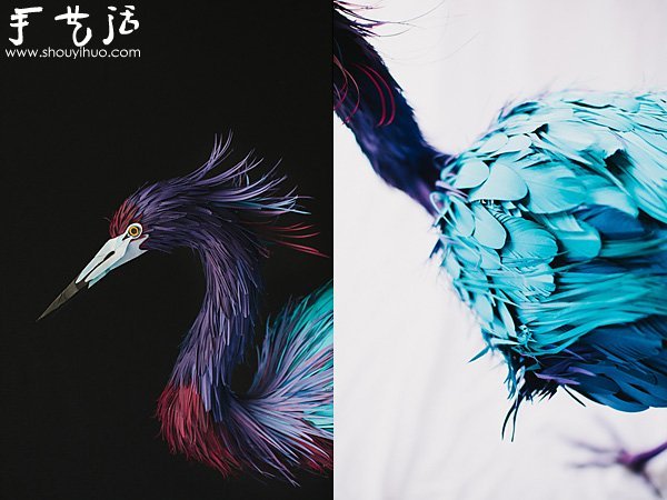 BˇƷ -  www.888bfw.com