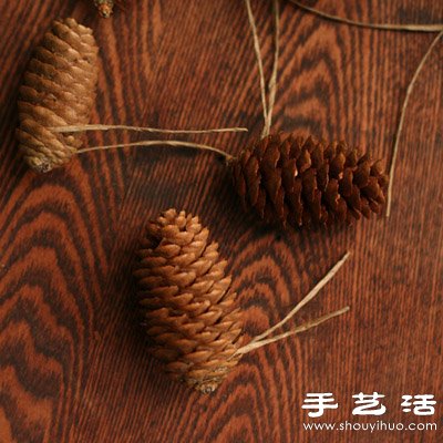 ׃U錚 DIYƯbƷ -  www.888bfw.com