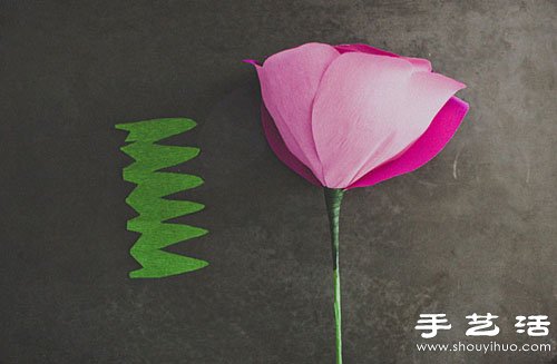ֹõ廨D ֹõ廨 -  www.888bfw.com