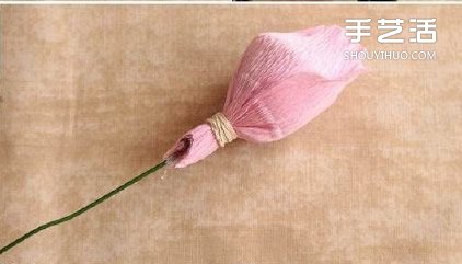滨ֹۼ۷D̳ -  www.888bfw.com