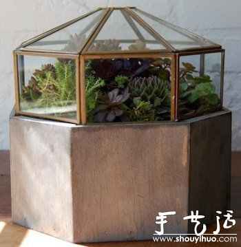 DIYֲ -  www.888bfw.com
