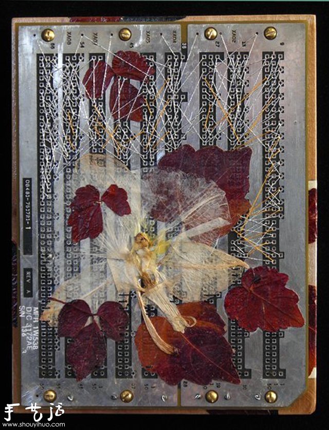 DIYhˇg -  www.888bfw.com