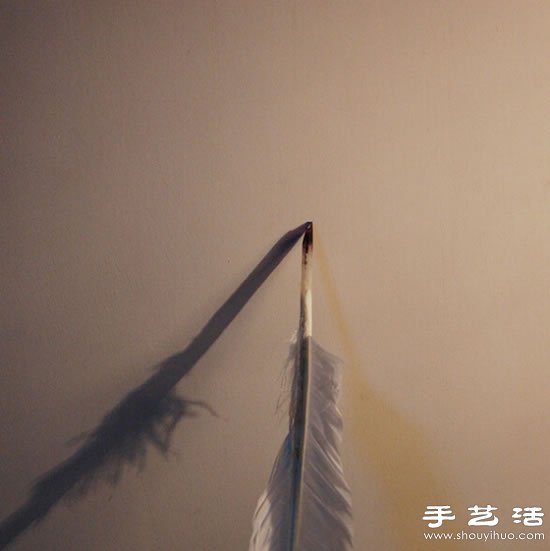 ZëP ZëP̳ -  www.888bfw.com