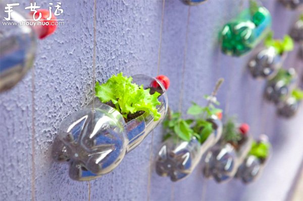 DIYϵĴֱƿ@ -  www.888bfw.com