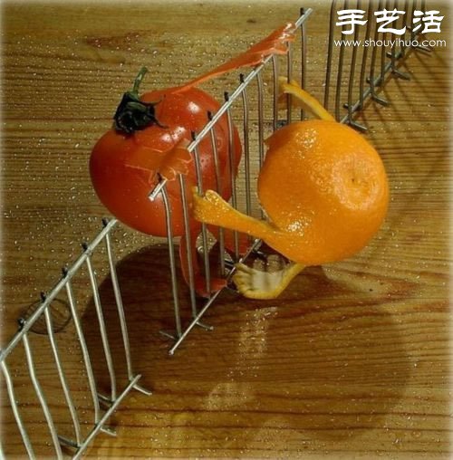 ȤʳֹDIYȫ -  www.888bfw.com