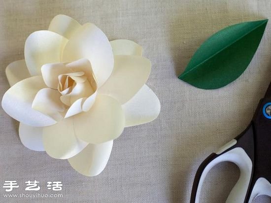 ֹdӻֹD̳ -  www.888bfw.com
