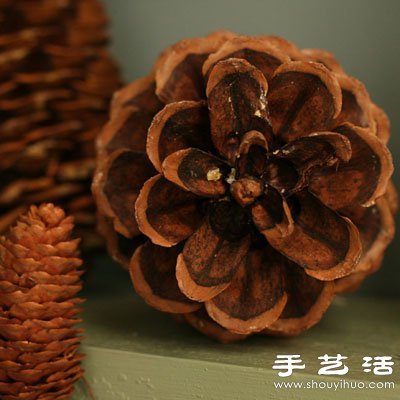 ׃U錚 DIYƯbƷ -  www.888bfw.com
