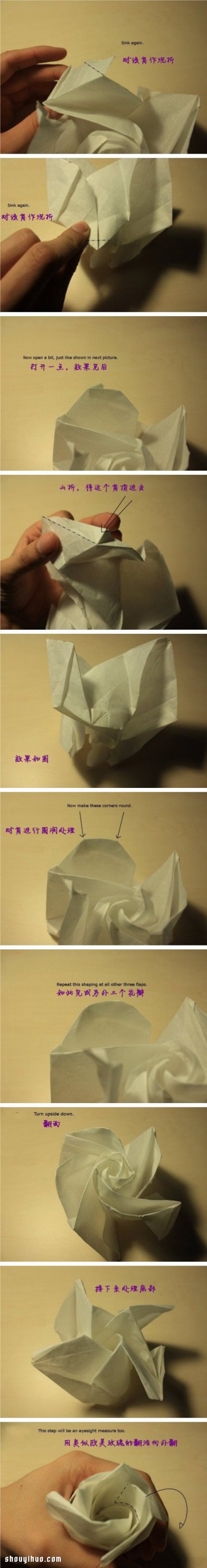 ְֽһƯֹõ廨D̳ -  www.888bfw.com