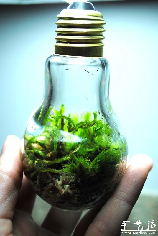 ֹDIYʽB(ti)ƿ -  www.888bfw.com