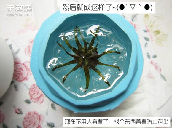 Ƕ֬ѹӢ̳ ѹӢ֬˱DIY -  www.888bfw.com