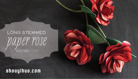 tõ ԔDⲽE -  www.888bfw.com
