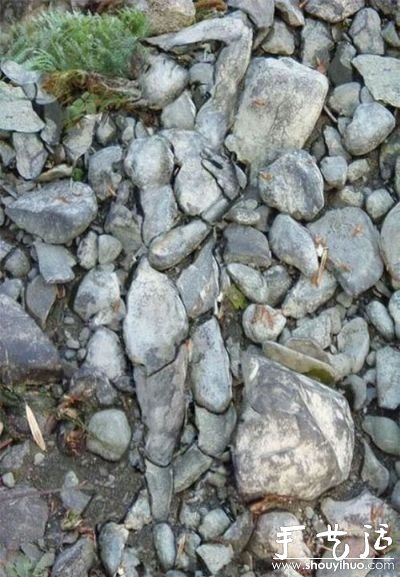 ԸƵʯ^ -  www.888bfw.com