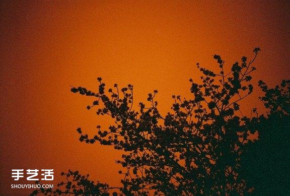 LomoL(fng)ħС ׃ɳٝƷY -  www.888bfw.com
