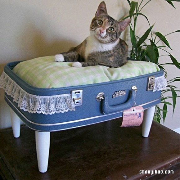 UfƷ ϲg͸DIY~ -  www.888bfw.com