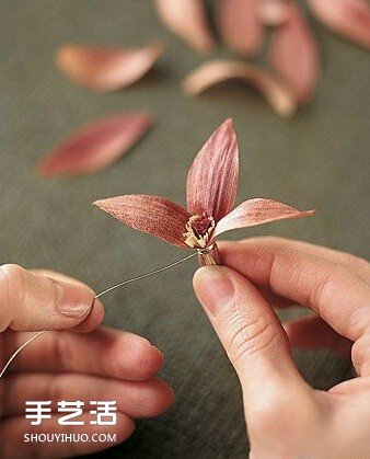 ֹ cYϵЧ@G -  www.888bfw.com